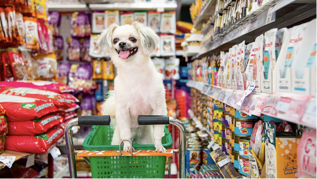 Todo Sobre El Mercado De Mascotas En China Wenomad