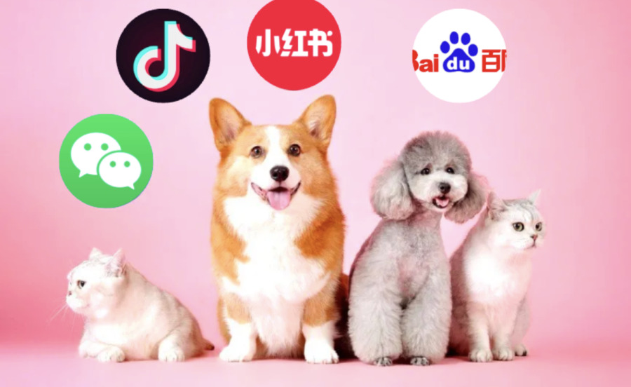 Vender mercado de mascotas en china
